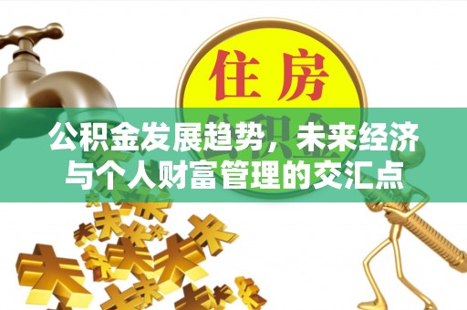 麻江公积金发展趋势，未来经济与个人财富管理的交汇点