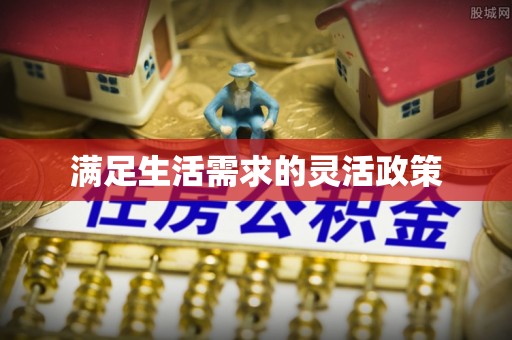 麻江满足生活需求的灵活政策
