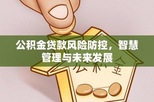 麻江公积金贷款风险防控，智慧管理与未来发展
