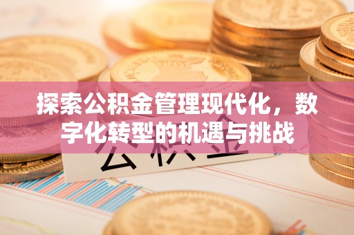 麻江探索公积金管理现代化，数字化转型的机遇与挑战