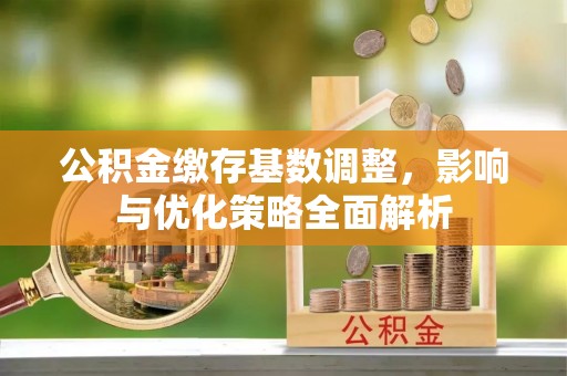 麻江公积金缴存基数调整，影响与优化策略全面解析