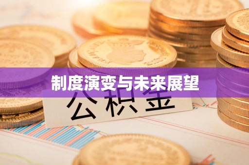 麻江制度演变与未来展望