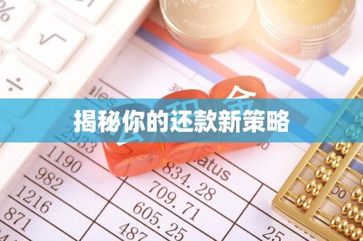 麻江揭秘你的还款新策略