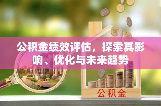 麻江公积金绩效评估，探索其影响、优化与未来趋势