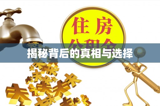 麻江揭秘背后的真相与选择