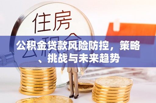 麻江公积金贷款风险防控，策略、挑战与未来趋势