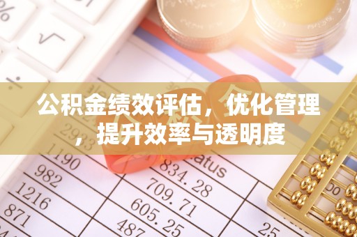 麻江公积金绩效评估，优化管理，提升效率与透明度