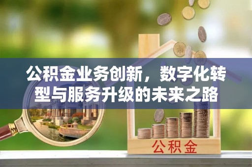 麻江公积金业务创新，数字化转型与服务升级的未来之路
