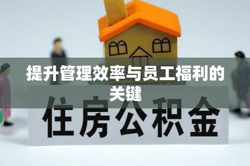 麻江提升管理效率与员工福利的关键