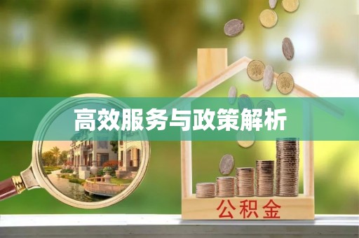 麻江高效服务与政策解析