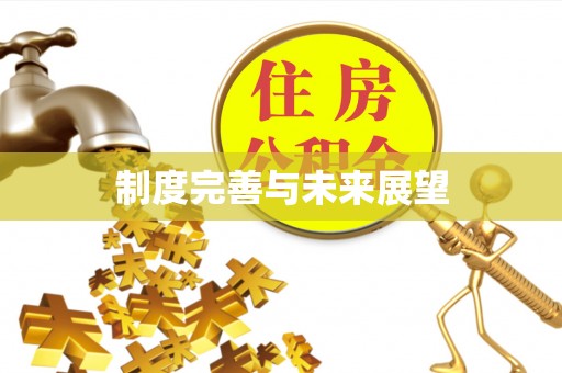麻江制度完善与未来展望