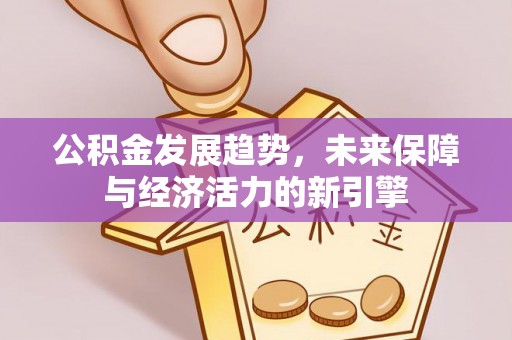 麻江公积金发展趋势，未来保障与经济活力的新引擎