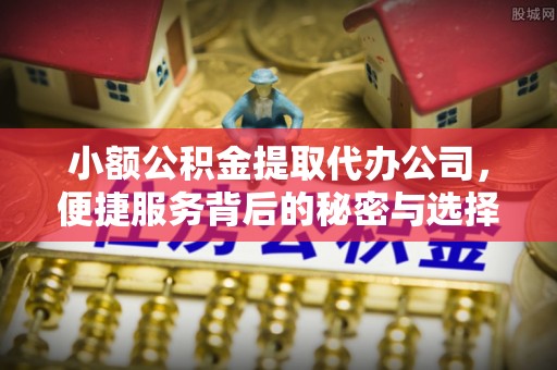 麻江小额公积金提取代办公司，便捷服务背后的秘密与选择指南