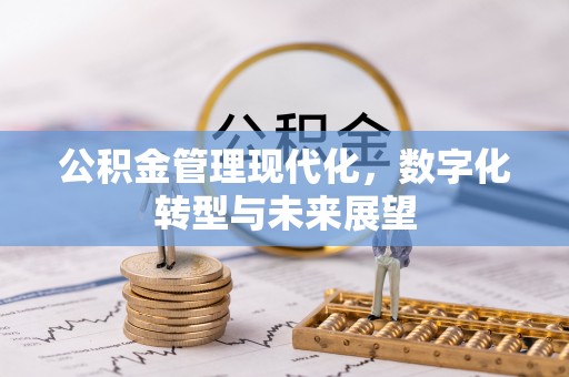 麻江公积金管理现代化，数字化转型与未来展望