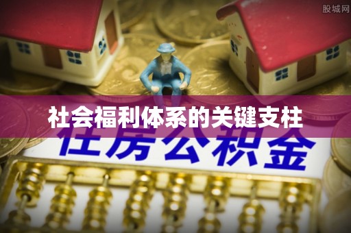 麻江社会福利体系的关键支柱