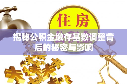麻江揭秘公积金缴存基数调整背后的秘密与影响