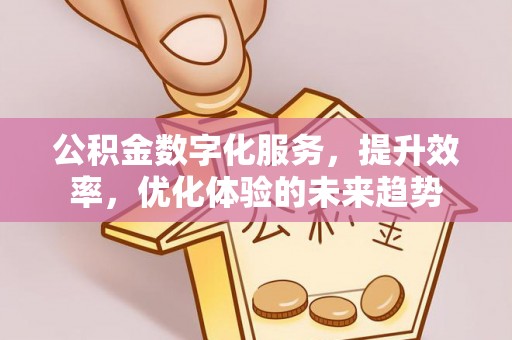 麻江公积金数字化服务，提升效率，优化体验的未来趋势