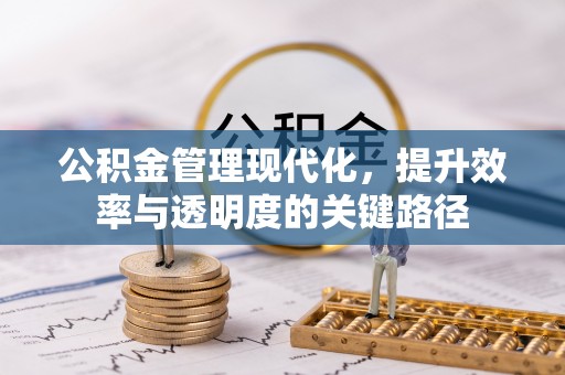 麻江公积金管理现代化，提升效率与透明度的关键路径