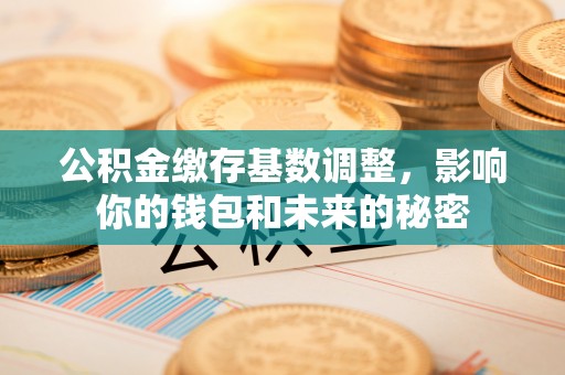 麻江公积金缴存基数调整，影响你的钱包和未来的秘密