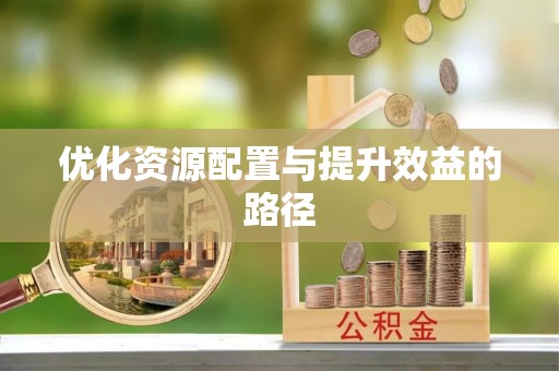 麻江优化资源配置与提升效益的路径