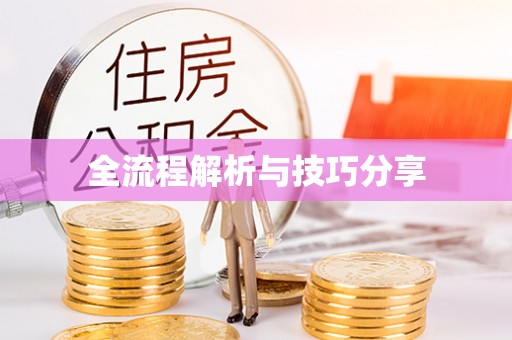 麻江全流程解析与技巧分享