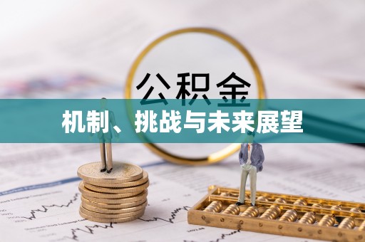 麻江机制、挑战与未来展望
