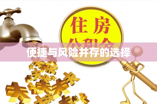 麻江便捷与风险并存的选择