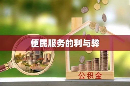 麻江便民服务的利与弊